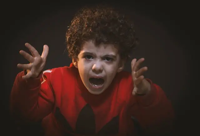 The Ultimate Guide to Taming Toddler Tantrums: Gentle Parenting Strategies for Early Childhood