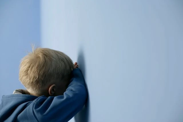 The Toddler Tantrum