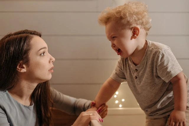 The Toddler Tantrum: What Is Actually Happening in Your Child's Brain and Why "No" Is Not the Problem
